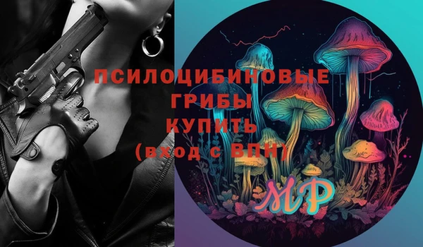 apvp Саяногорск